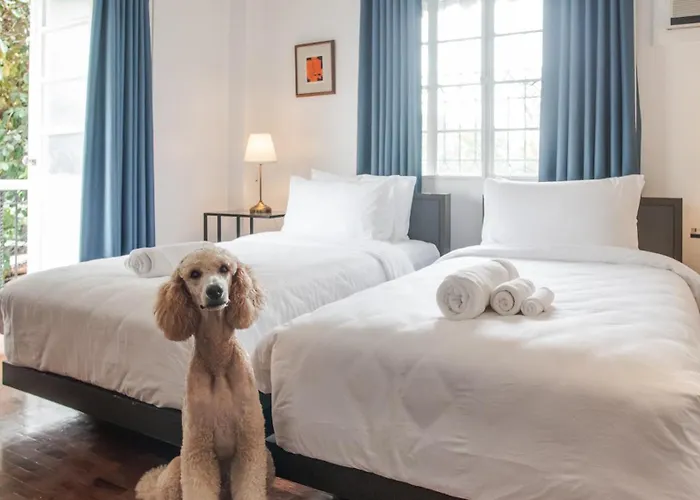 Miranamin Nest Elegant Home, Indoor Plunge Pool, Pet-friendly, With Rooftop, Kitchens, Self-service Breakfast - Ideal For Reunions, Team Building, Intimate Gatherings Holiday home