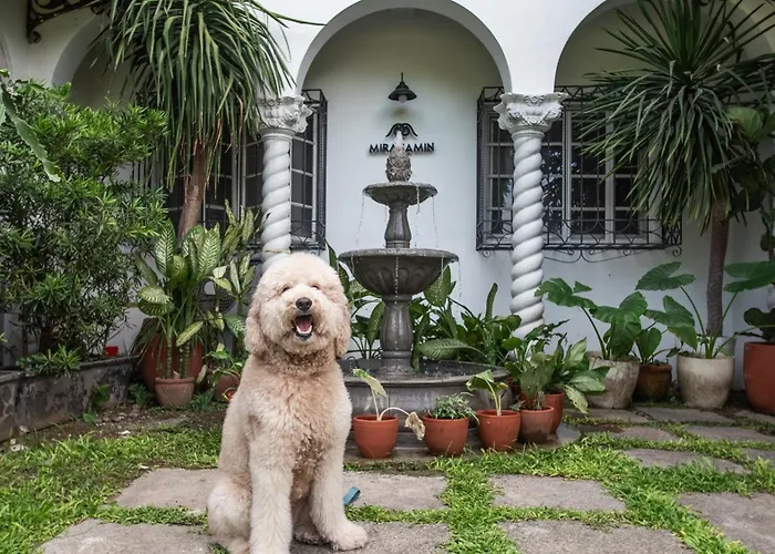 Miranamin Nest Elegant Home, Indoor Plunge Pool, Pet-friendly, With Rooftop, Kitchens, Self-service Breakfast - Ideal For Reunions, Team Building, Intimate Gatherings * Manila